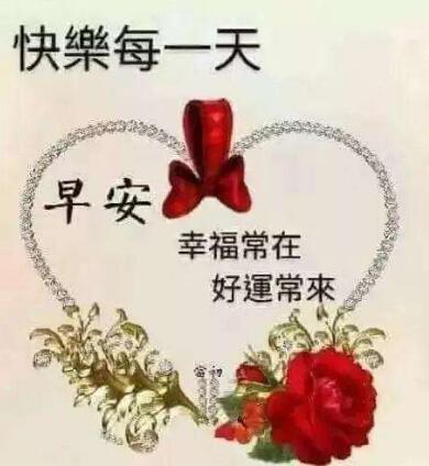 《飞鸟集》中学生读后感600字 