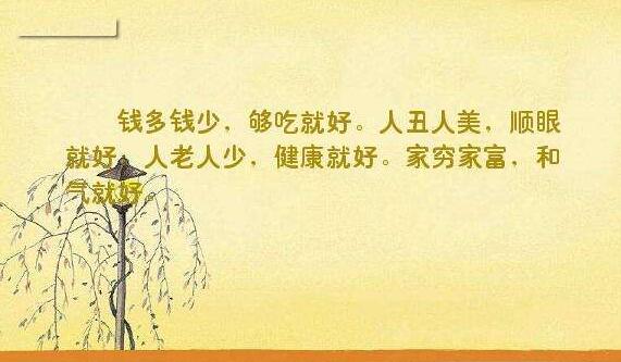 圆明园的毁灭读后感500字 