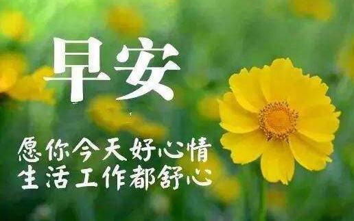 《小王子》读后感600字 