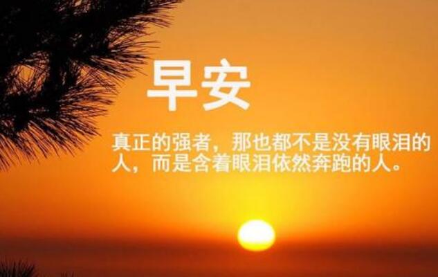 《弟子规》最新读后感600字【5篇】 