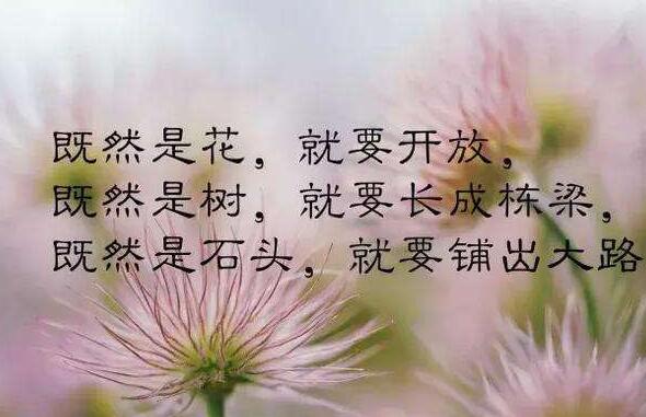 《父亲的病》读后感600字优秀范文 