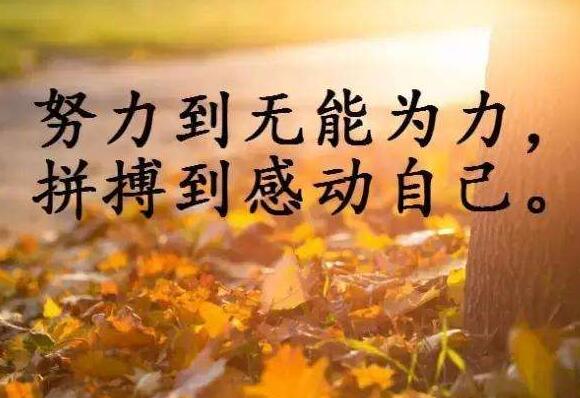 女生贾梅初中读后感600字 