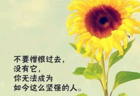 草房子读后感500字 
