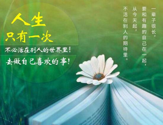 学习《了不起的盖茨比》读后感800字 